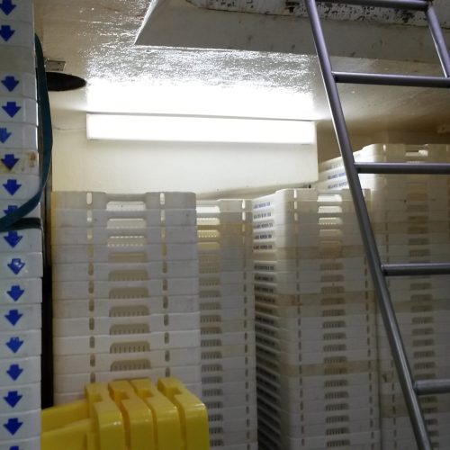 20141127_115005